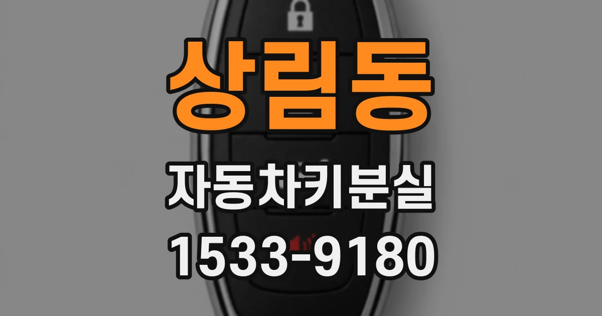 상림동 자동차키분실