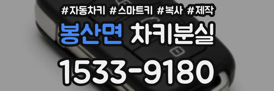 봉산면 차키분실