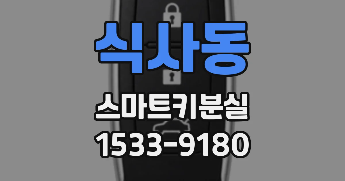 식사동 스마트키분실