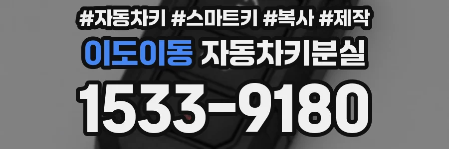 이도이동 자동차키분실