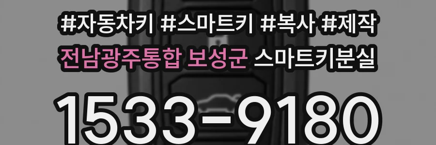 전남광주통합 보성군 스마트키분실