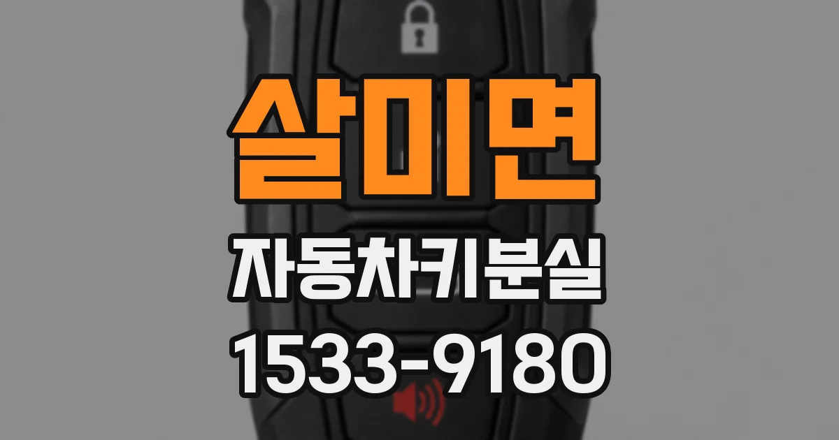 살미면 자동차키분실