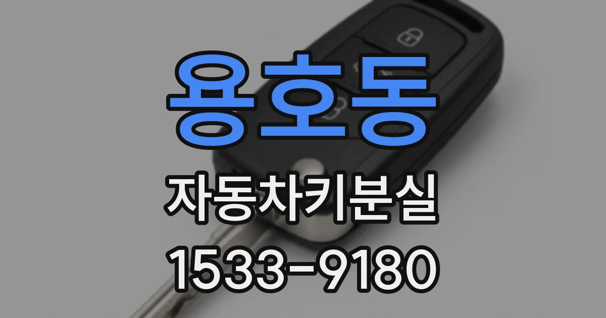 용호동 자동차키분실