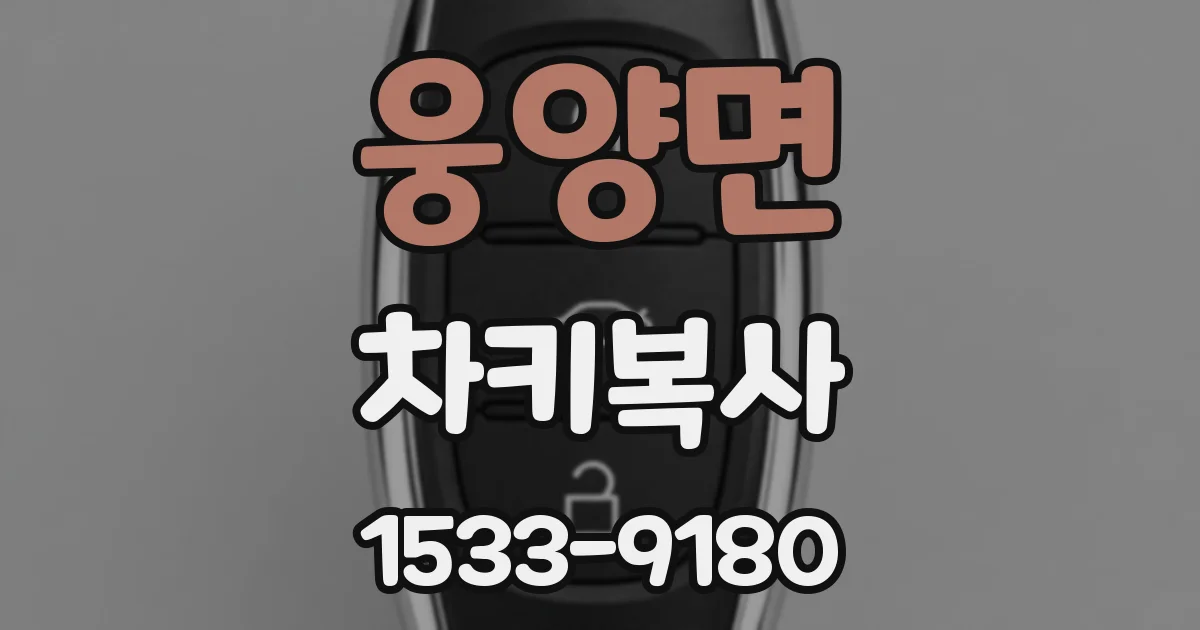 웅양면 차키복사