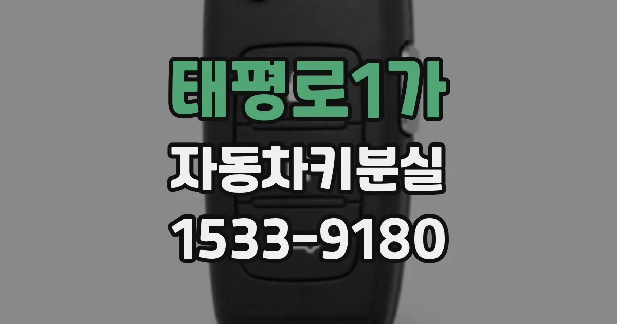 태평로1가 자동차키분실