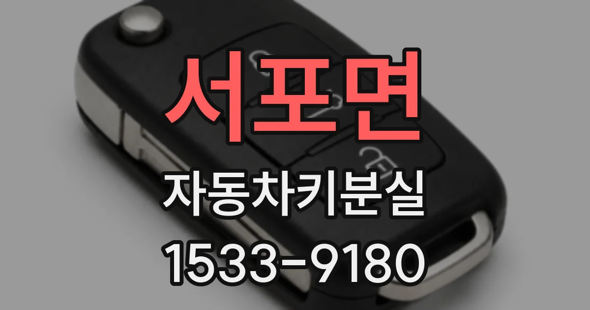 서포면 자동차키분실