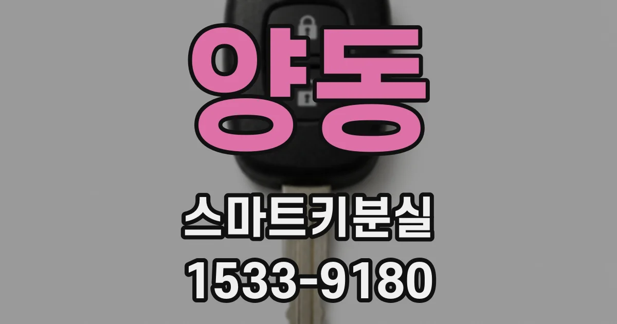 양동 스마트키분실