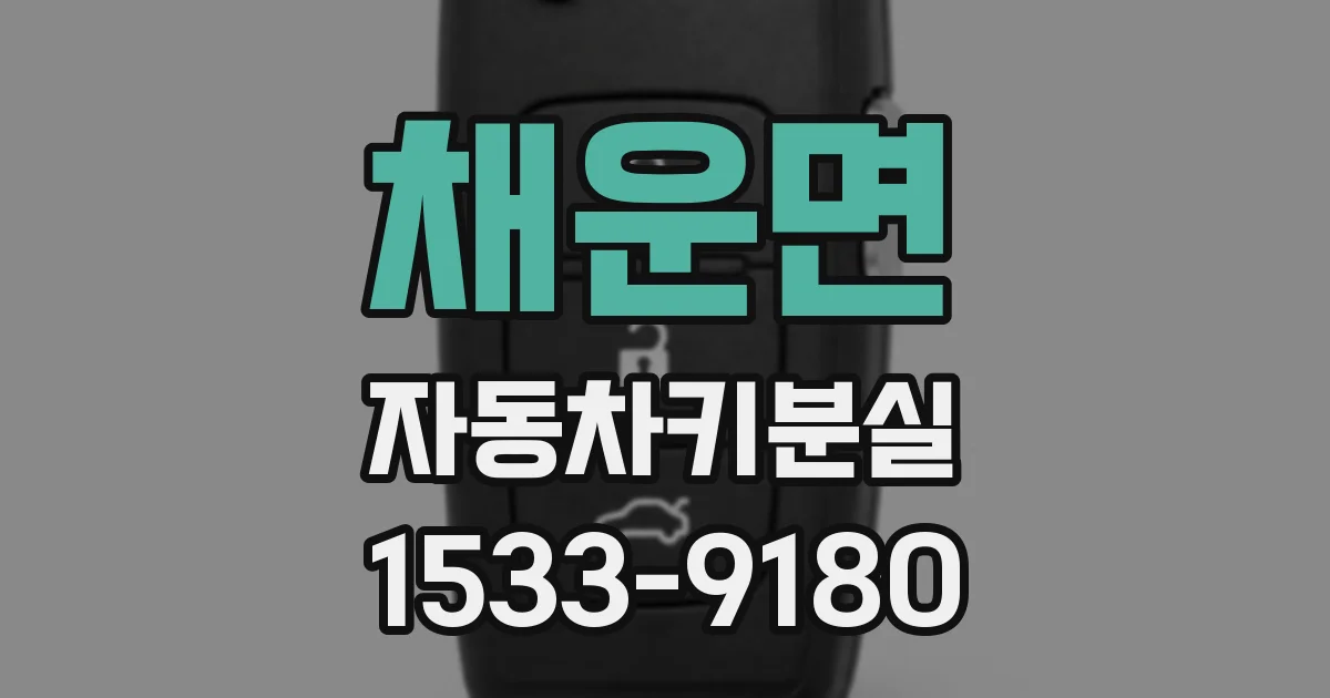 채운면 자동차키분실