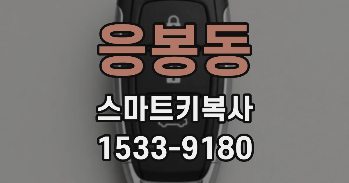 응봉동 스마트키복사