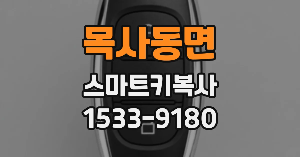 목사동면 스마트키복사