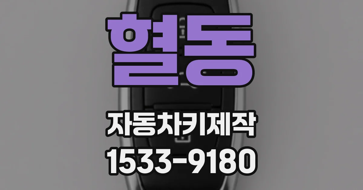 혈동 자동차키제작