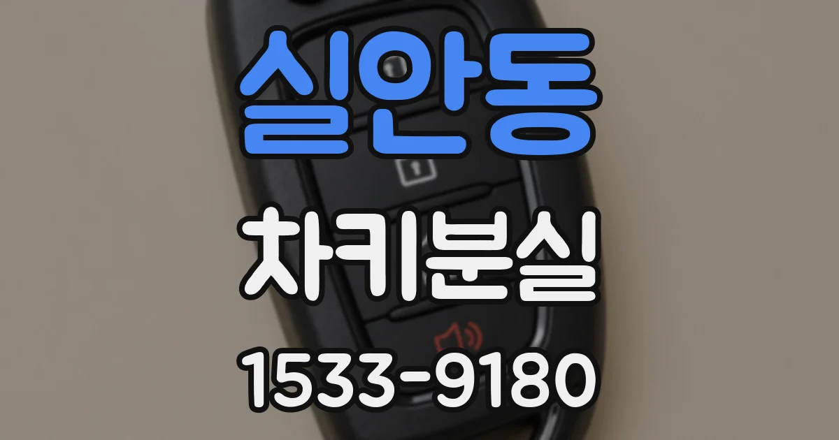 실안동 차키분실