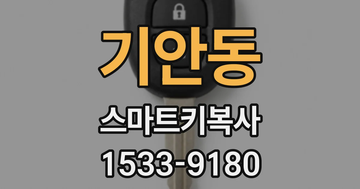 기안동 스마트키복사