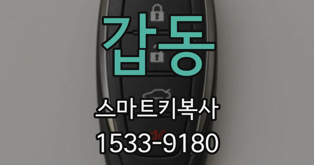 갑동 스마트키복사