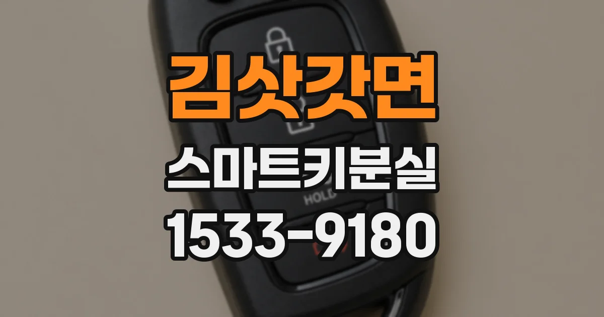 김삿갓면 스마트키분실