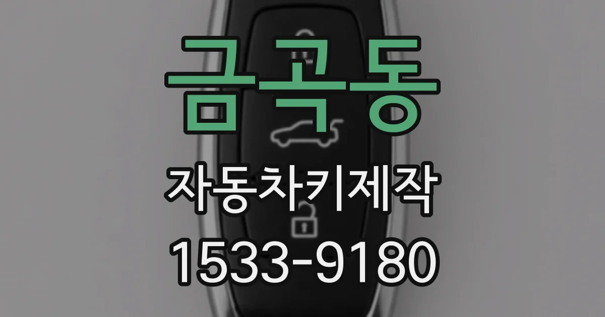 금곡동 자동차키제작