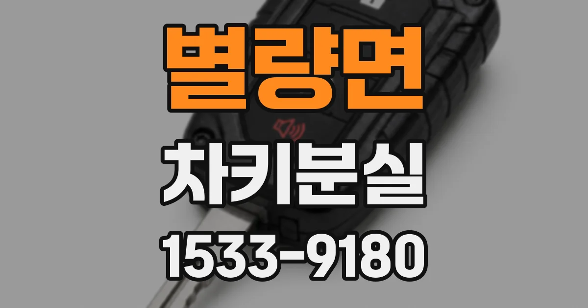 별량면 차키분실