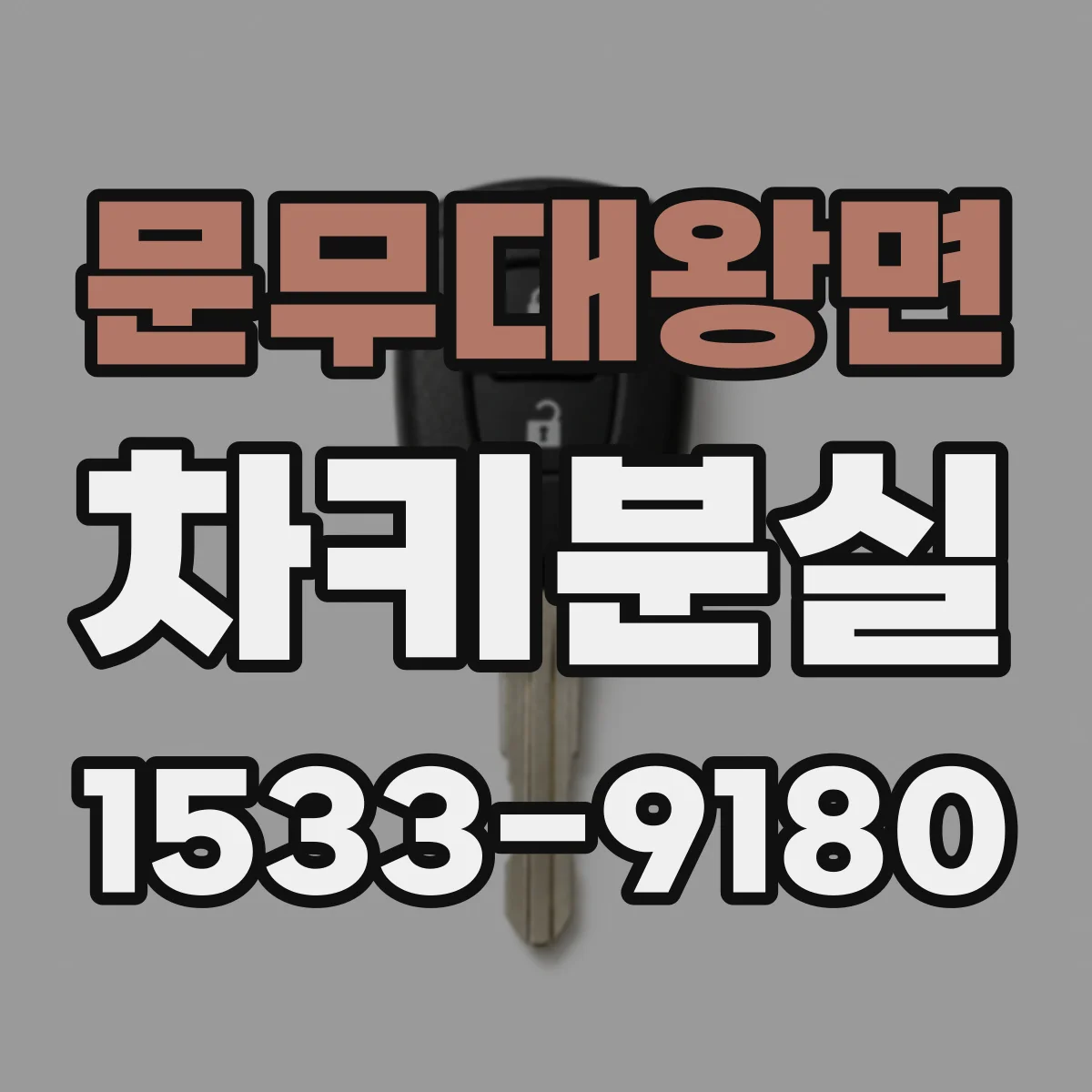 문무대왕면 차키분실