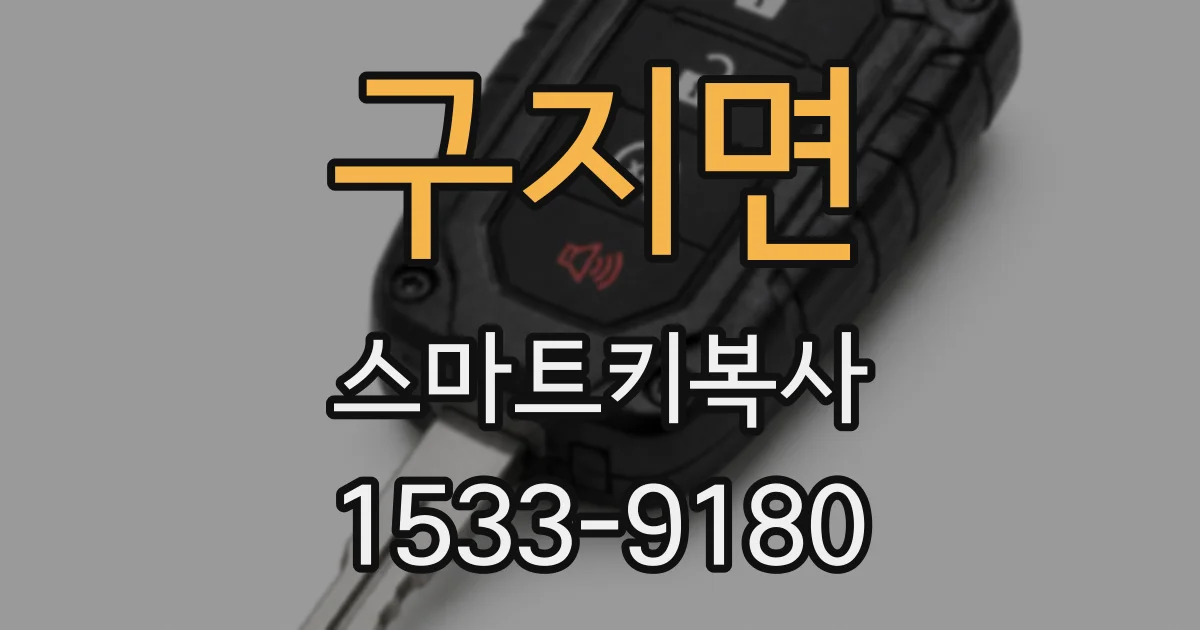 구지면 스마트키복사