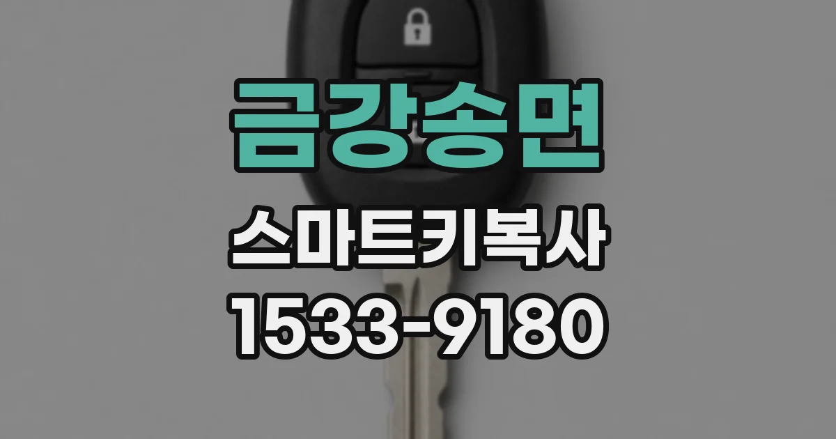 금강송면 스마트키복사