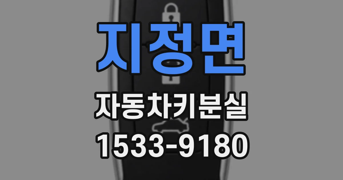 지정면 자동차키분실