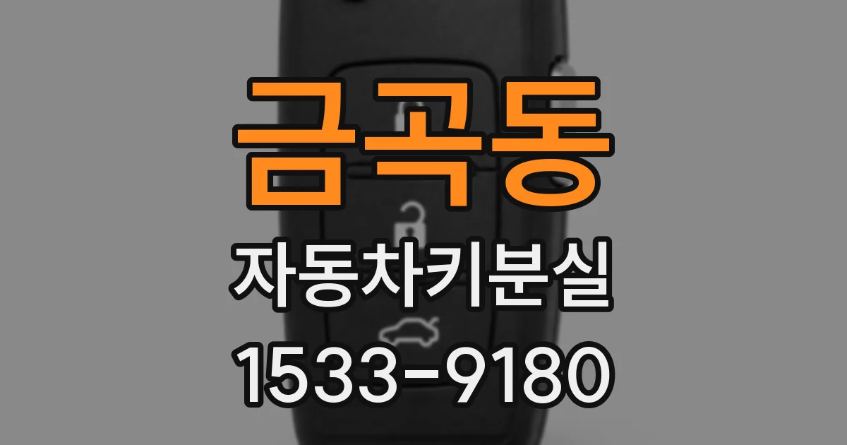 금곡동 자동차키분실