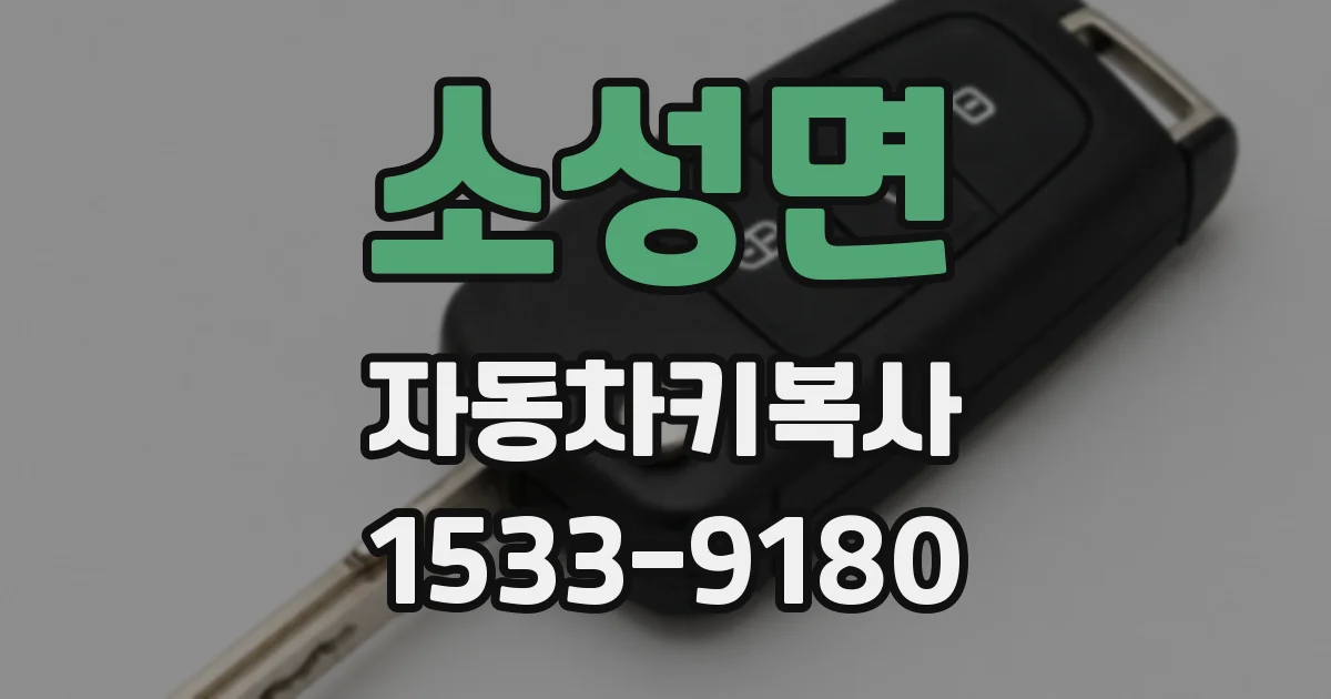 소성면 자동차키복사