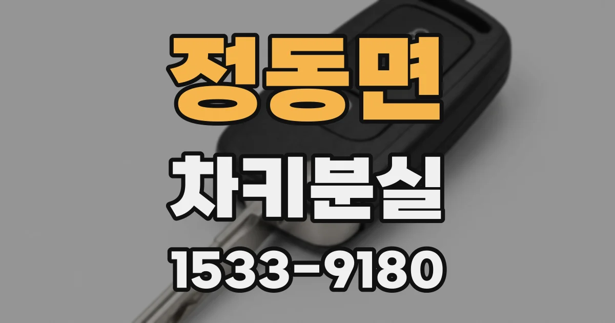 정동면 차키분실