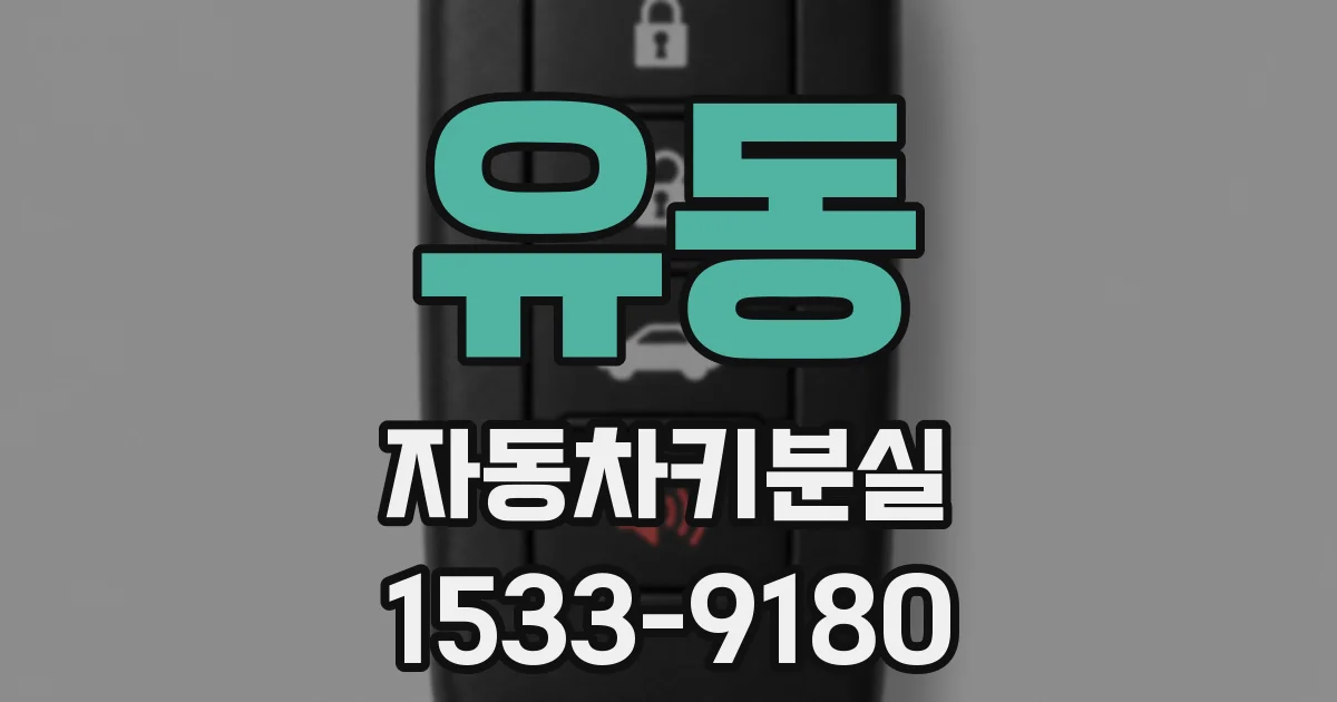 유동 자동차키분실
