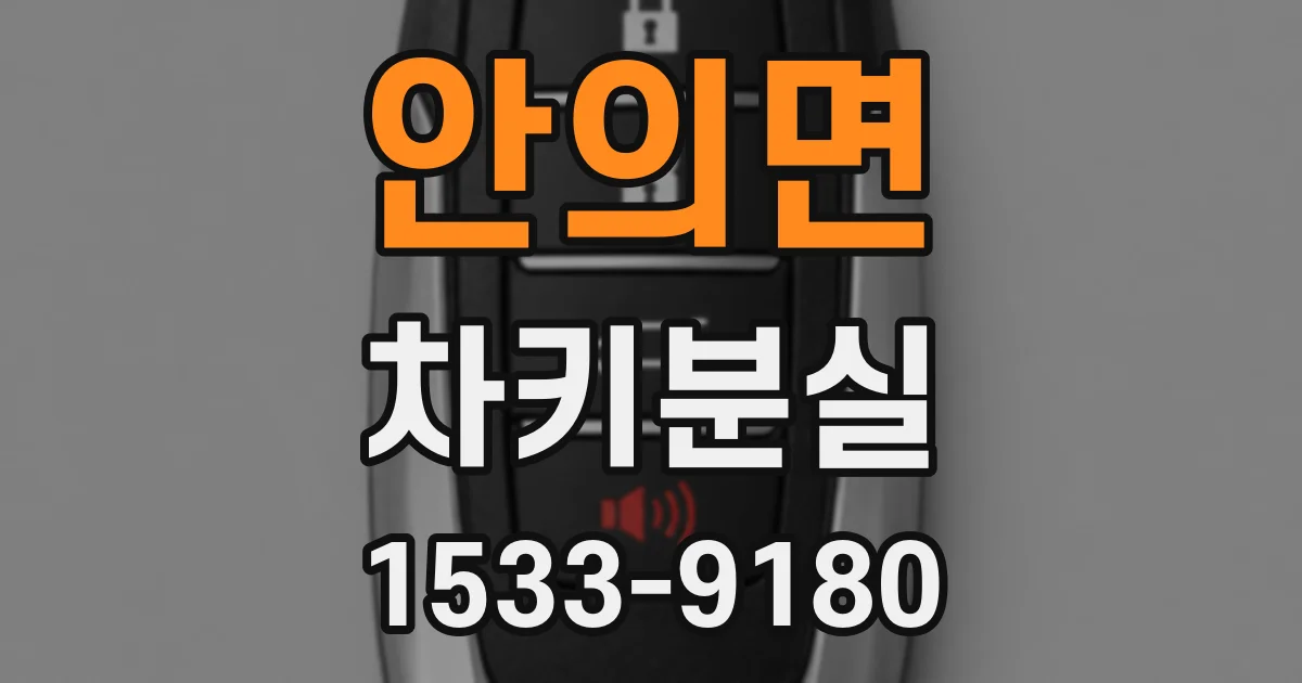 안의면 차키분실