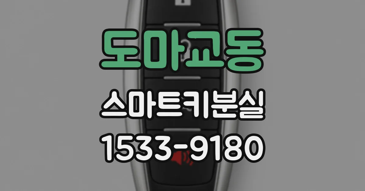 도마교동 스마트키분실