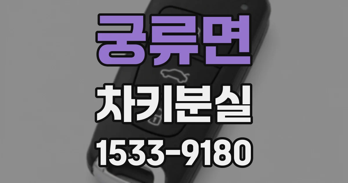궁류면 차키분실