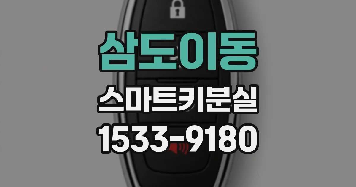 삼도이동 스마트키분실