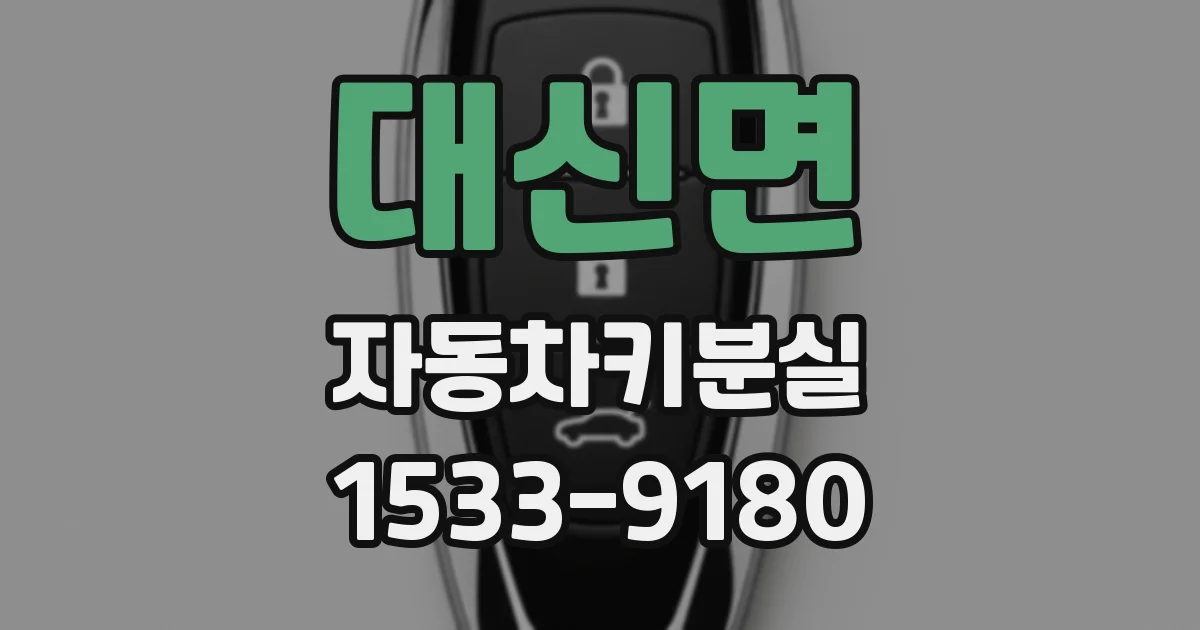 대신면 자동차키분실