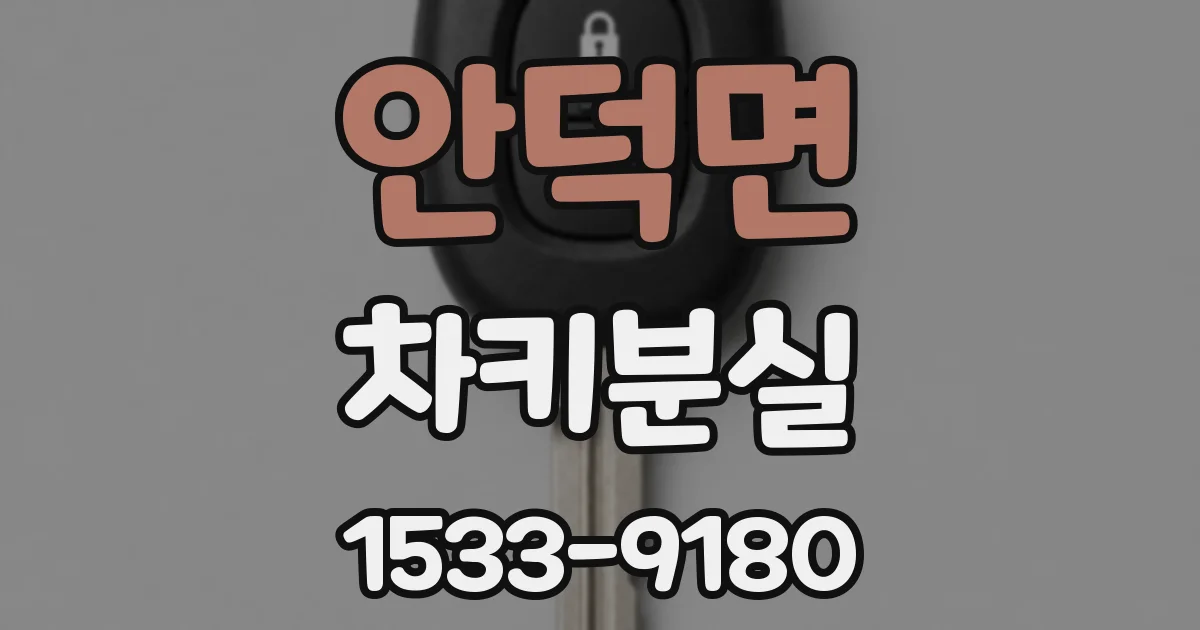 안덕면 차키분실