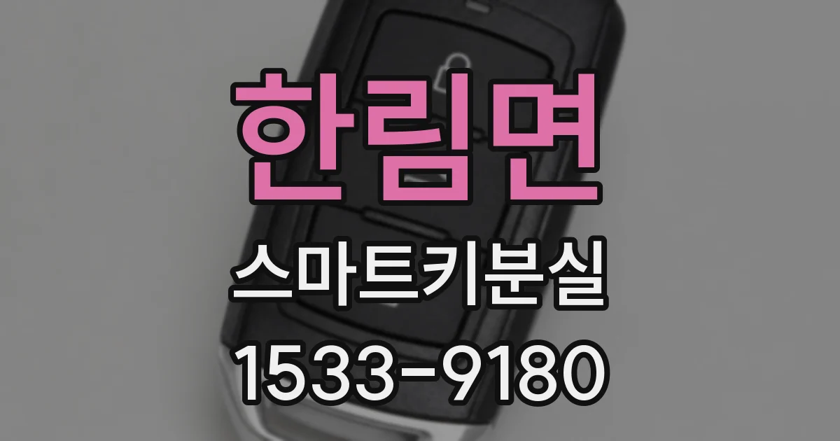 한림면 스마트키분실