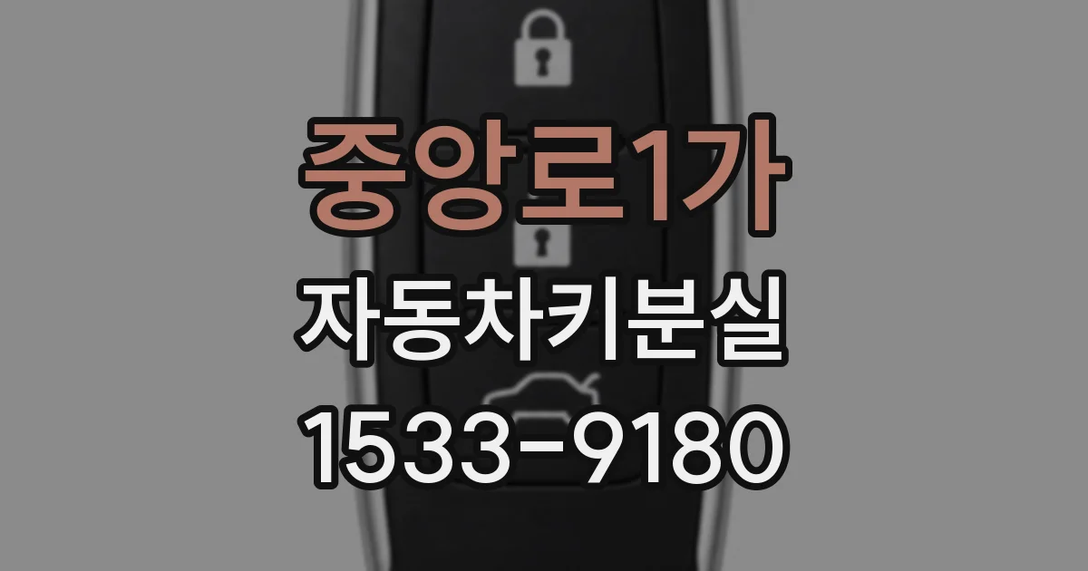 중앙로1가 자동차키분실