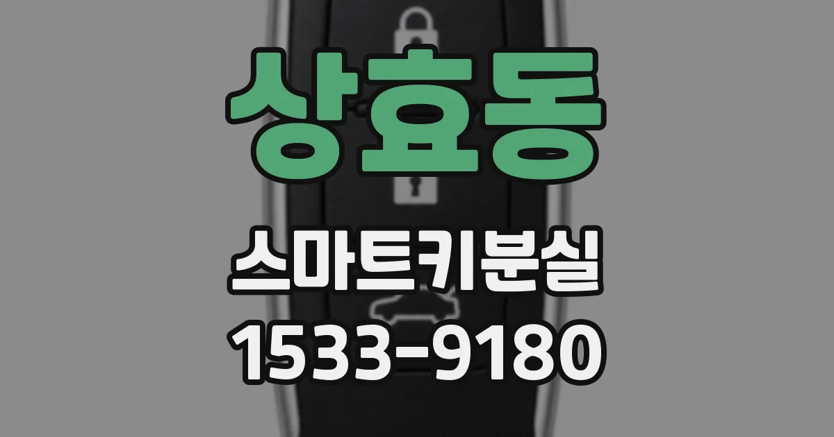 상효동 스마트키분실