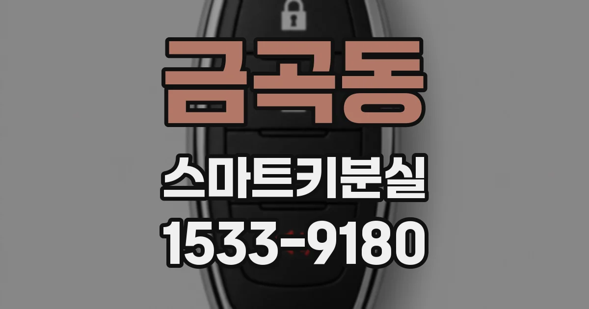 금곡동 스마트키분실