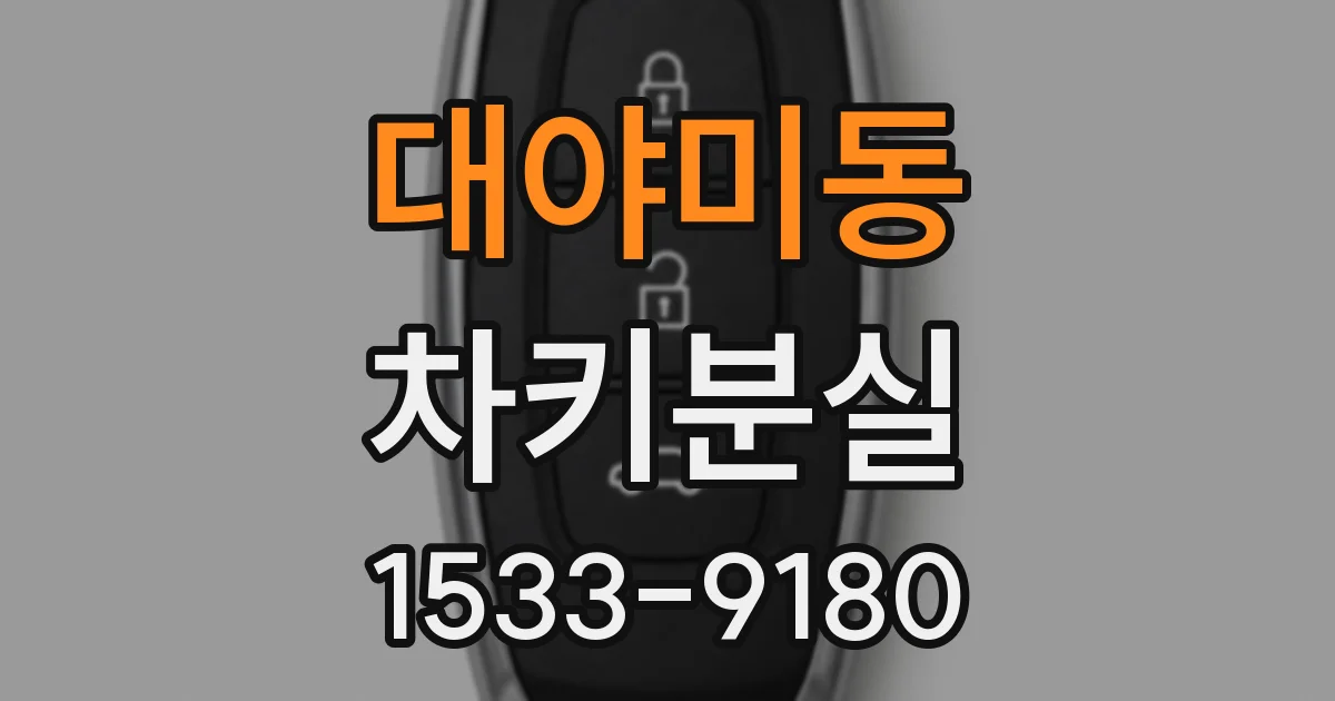 대야미동 차키분실