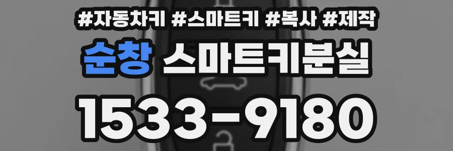 순창 스마트키분실