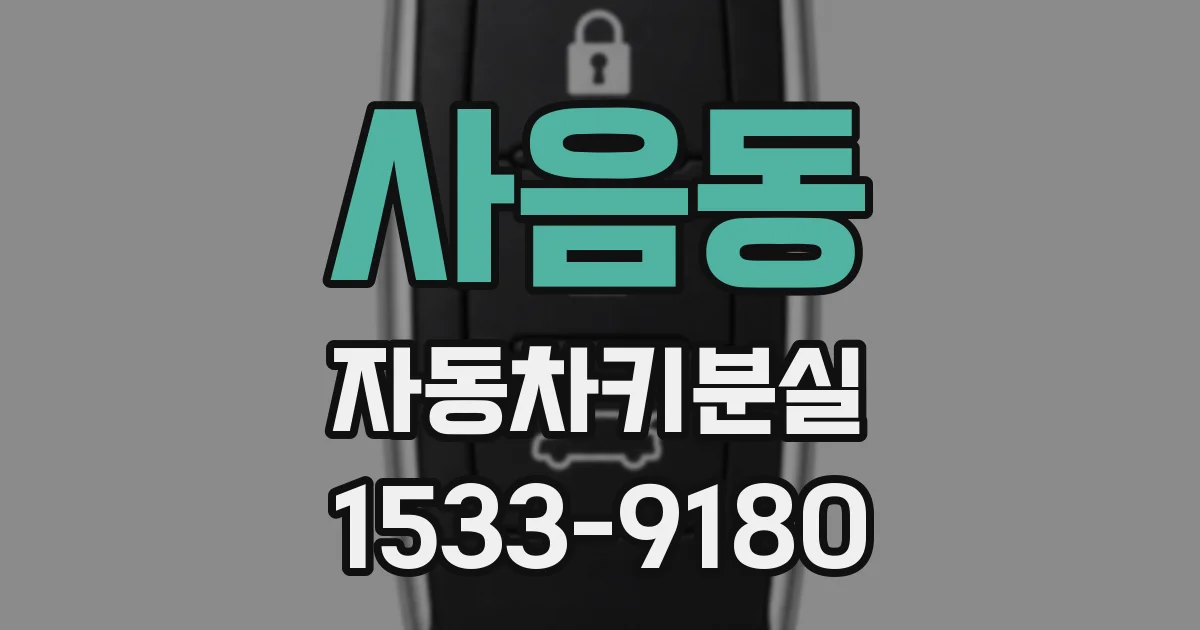 사음동 자동차키분실