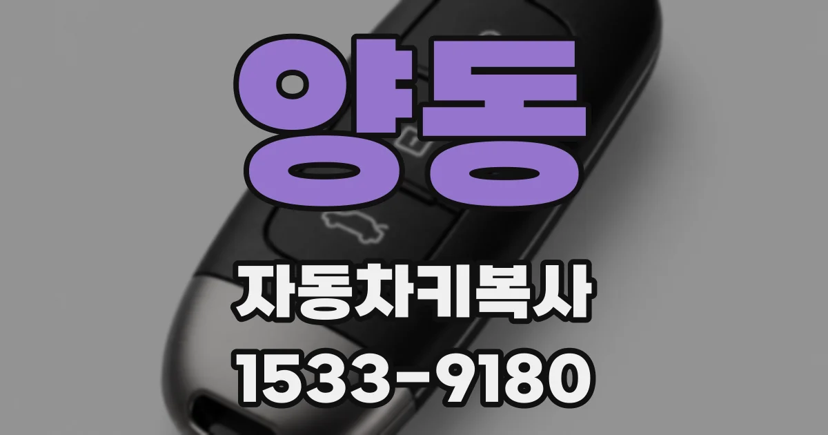 양동 자동차키복사