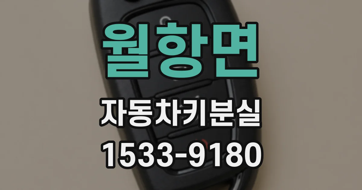 월항면 자동차키분실