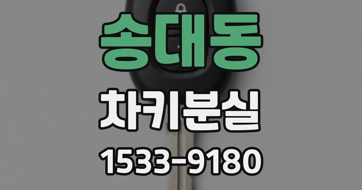 송대동 차키분실