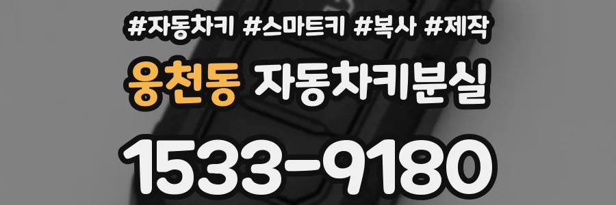 웅천동 자동차키분실