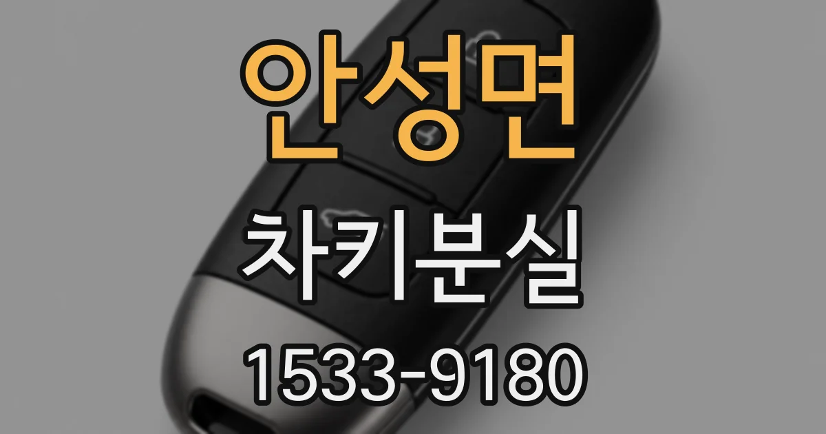 안성면 차키분실