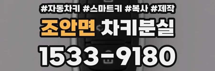 조안면 차키분실