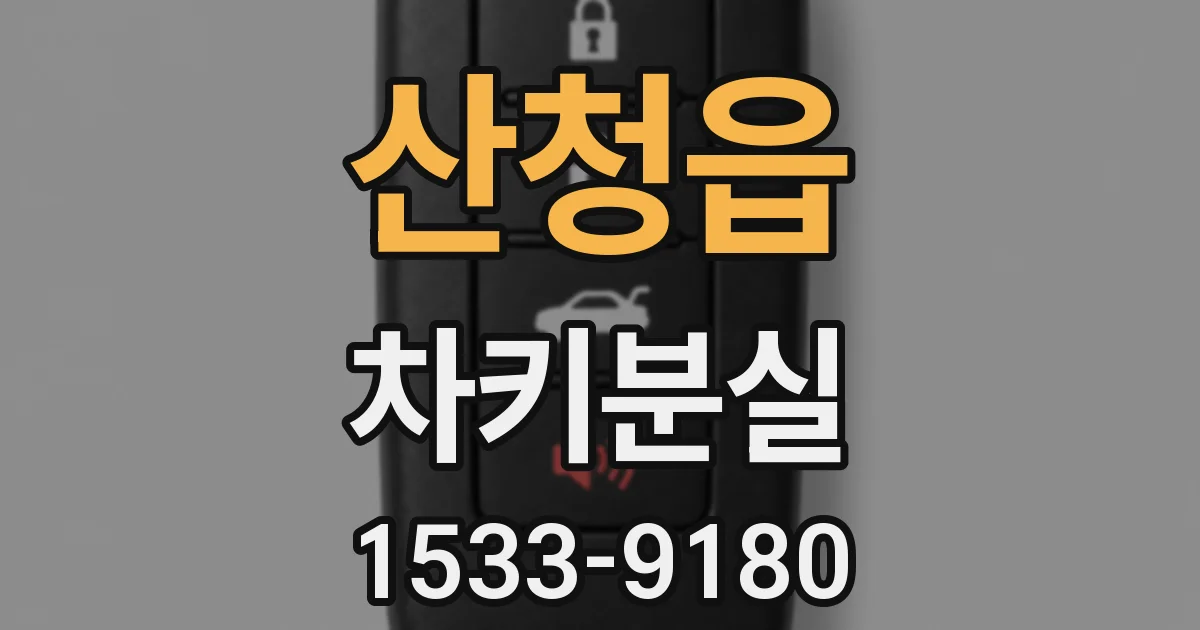 산청읍 차키분실