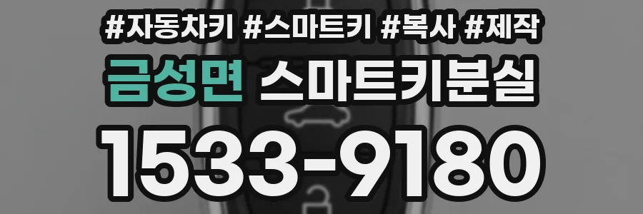 금성면 스마트키분실